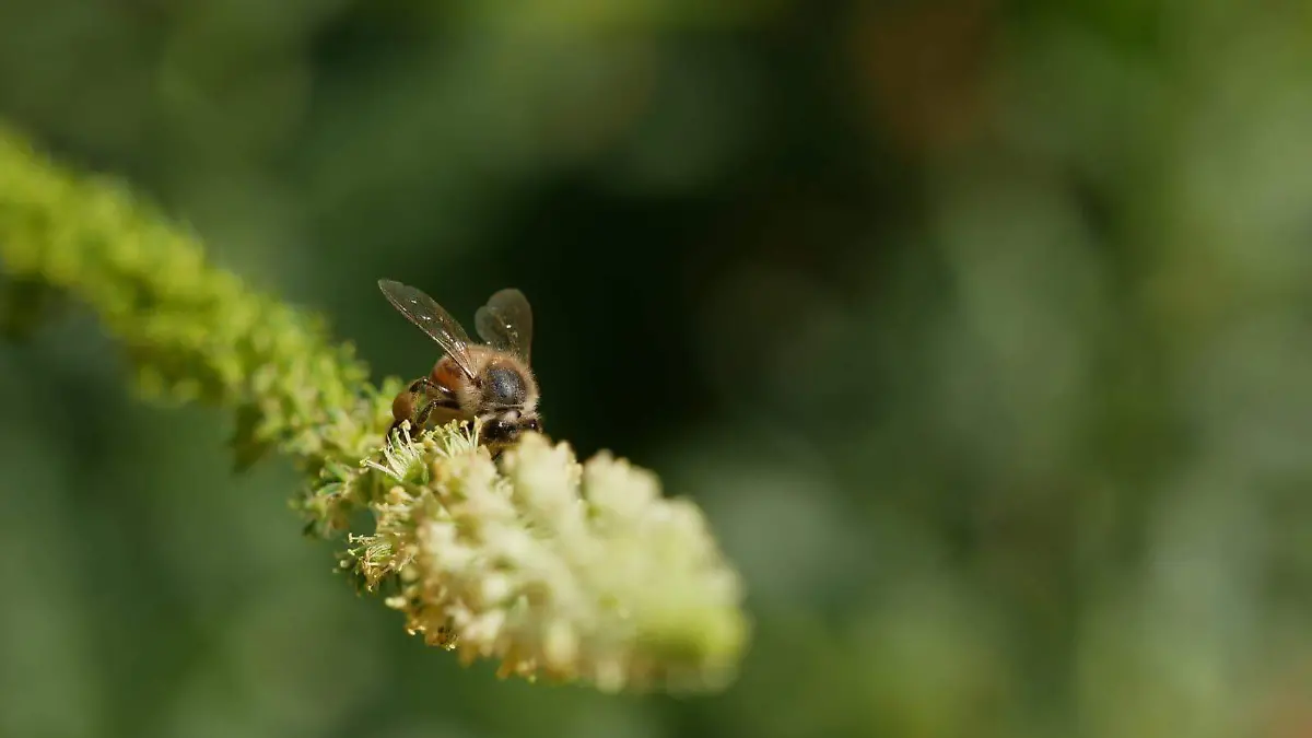 WhatsApp Image 2026-03-24 at 13.22.26