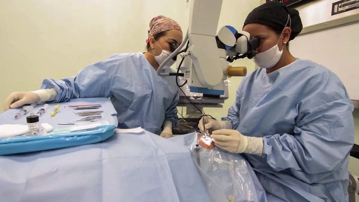 392471_Cirugia Cataratas_impreso