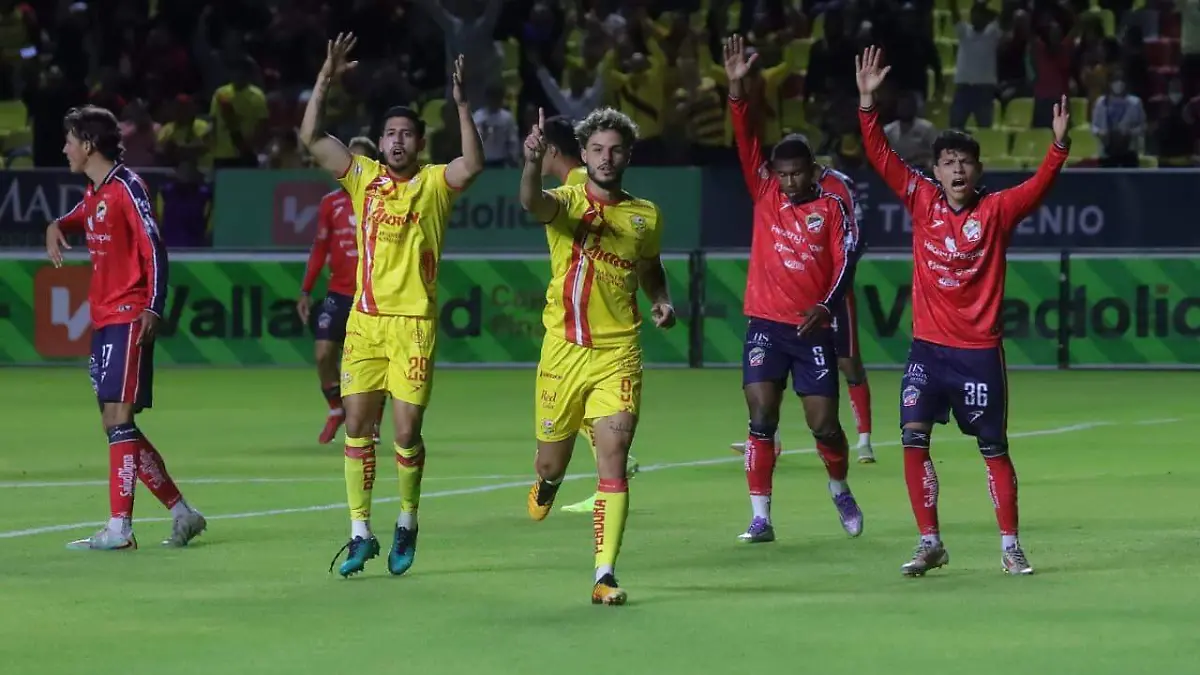 WhatsApp Image 2026-03-28 at 20.50.18