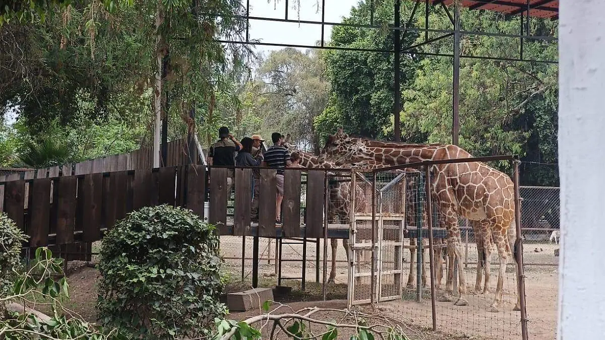 WhatsApp Image 2026-03-30 at 08.53.59 (1)