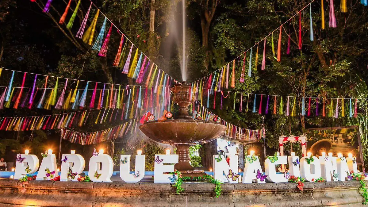 WhatsApp Image 2026-03-31 at 10.12.01