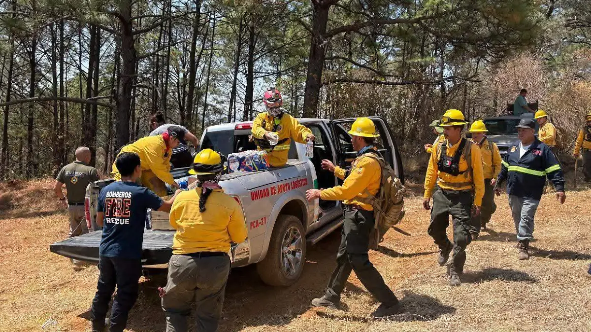 WhatsApp Image 2026-04-01 at 08.56.09