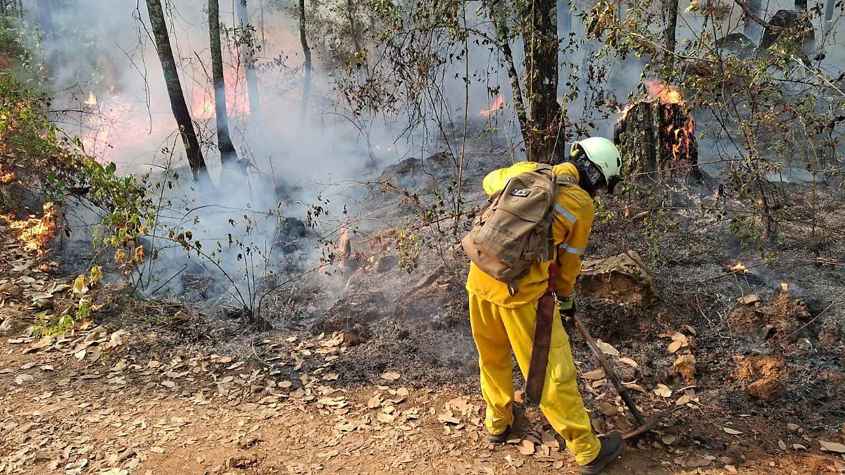 WhatsApp Image 2026-04-01 at 07.51.10