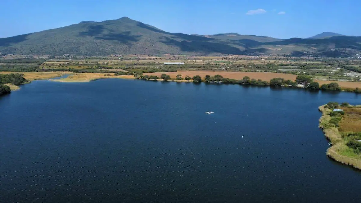 WhatsApp Image 2026-04-01 at 13.01.39 (1)