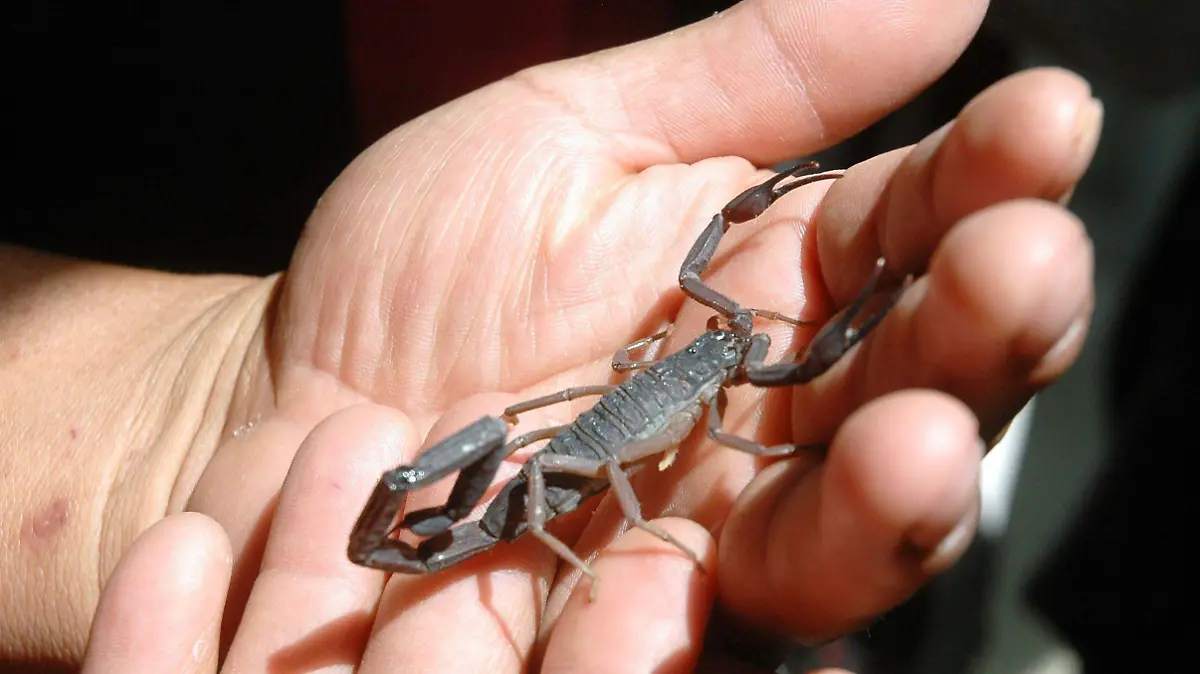 171018_0206Rec_impreso