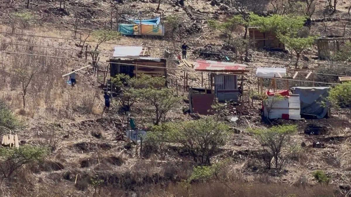 WhatsApp Image 2026-04-07 at 11.43.10 (1)