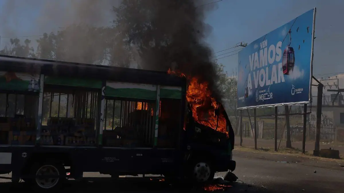 WhatsApp Image 2026-04-09 at 12.17.50 (1)