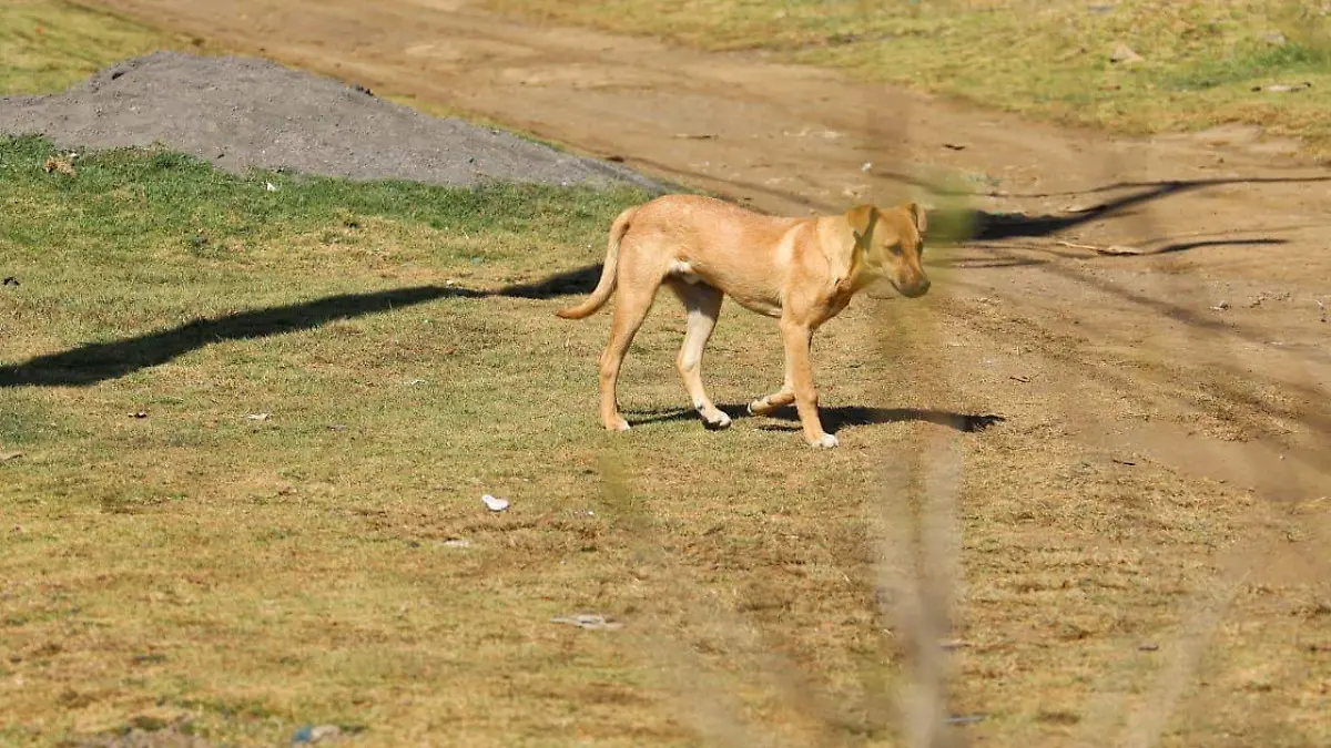 WhatsApp Image 2026-04-09 at 14.21.53