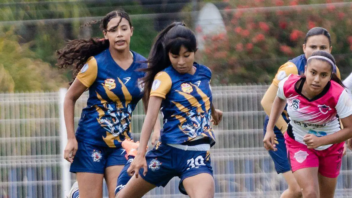 WhatsApp Image 2026-04-11 at 13.14.53