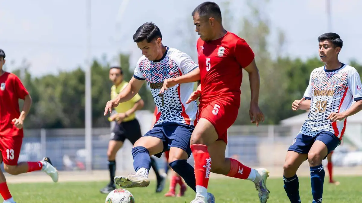 WhatsApp Image 2026-04-14 at 10.18.40