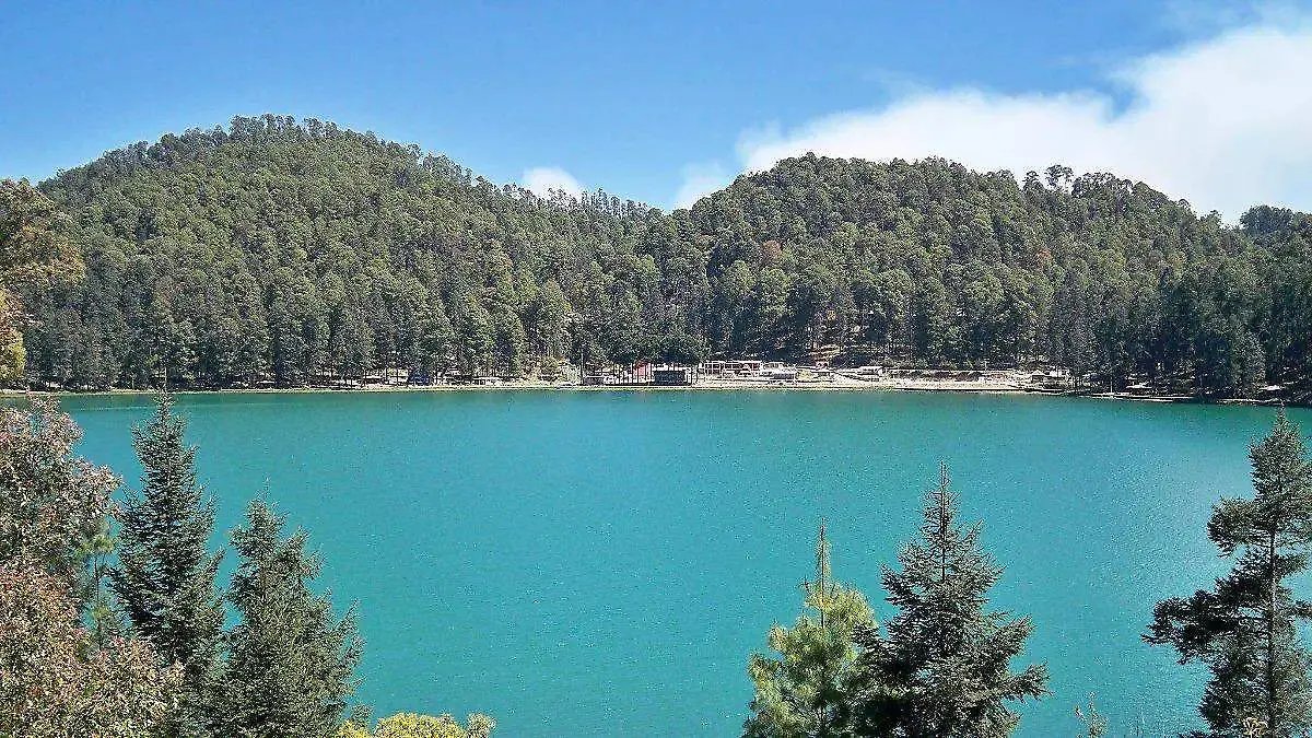 WhatsApp Image 2026-04-14 at 12.36.12