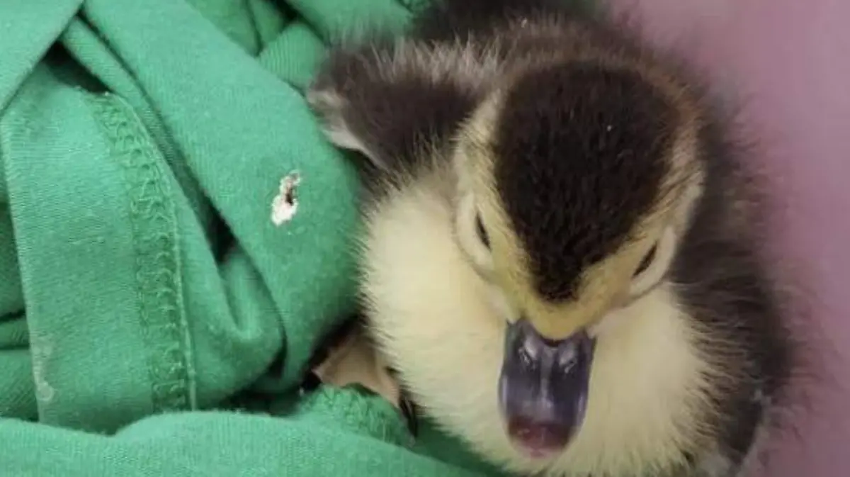 669069738_1349361183888541_4936960803526081498_n