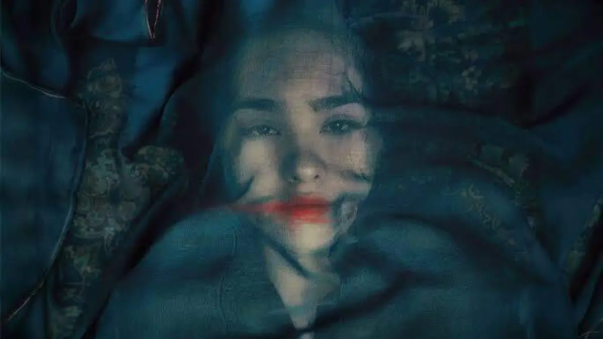 Un Zorro bajo la luna