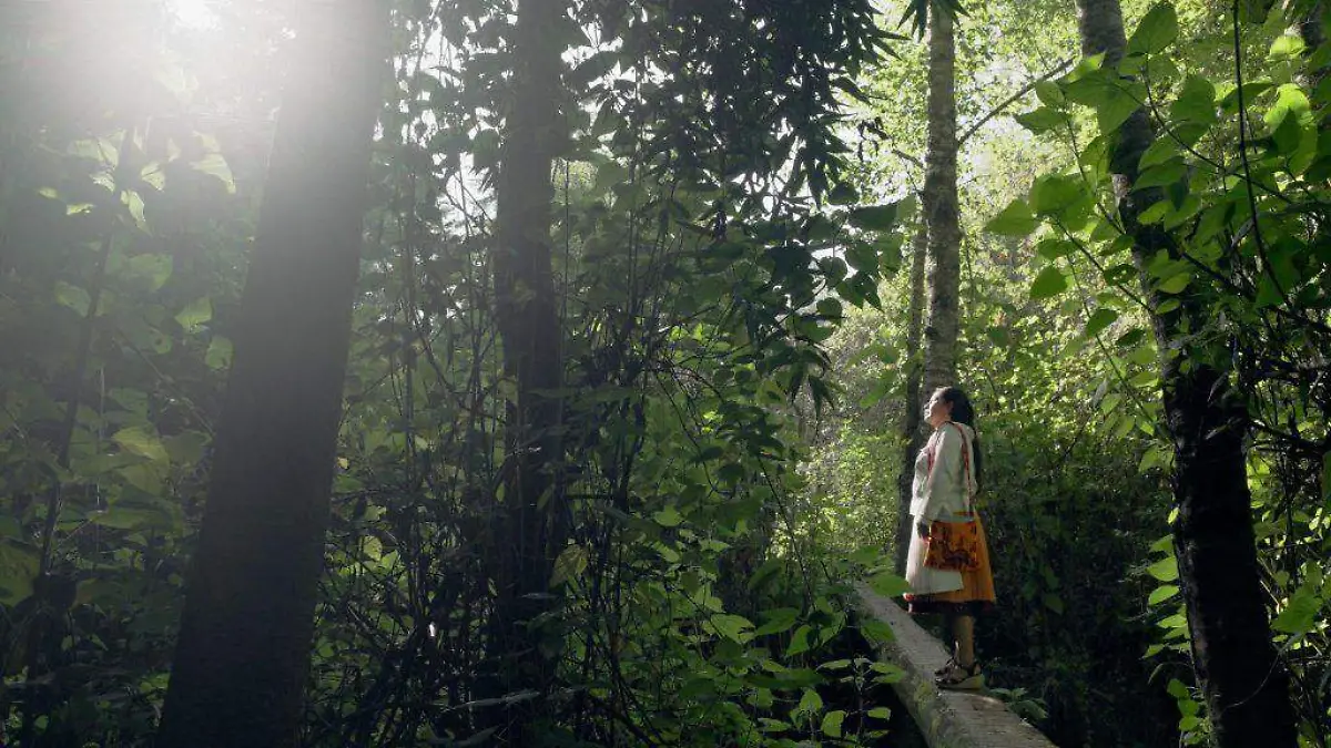 ambulante michoacan 2026