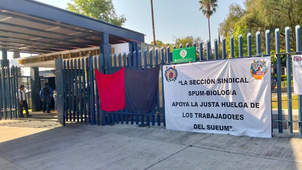 huelga umsnh