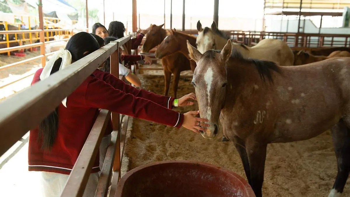 Feria Agroindustrial
