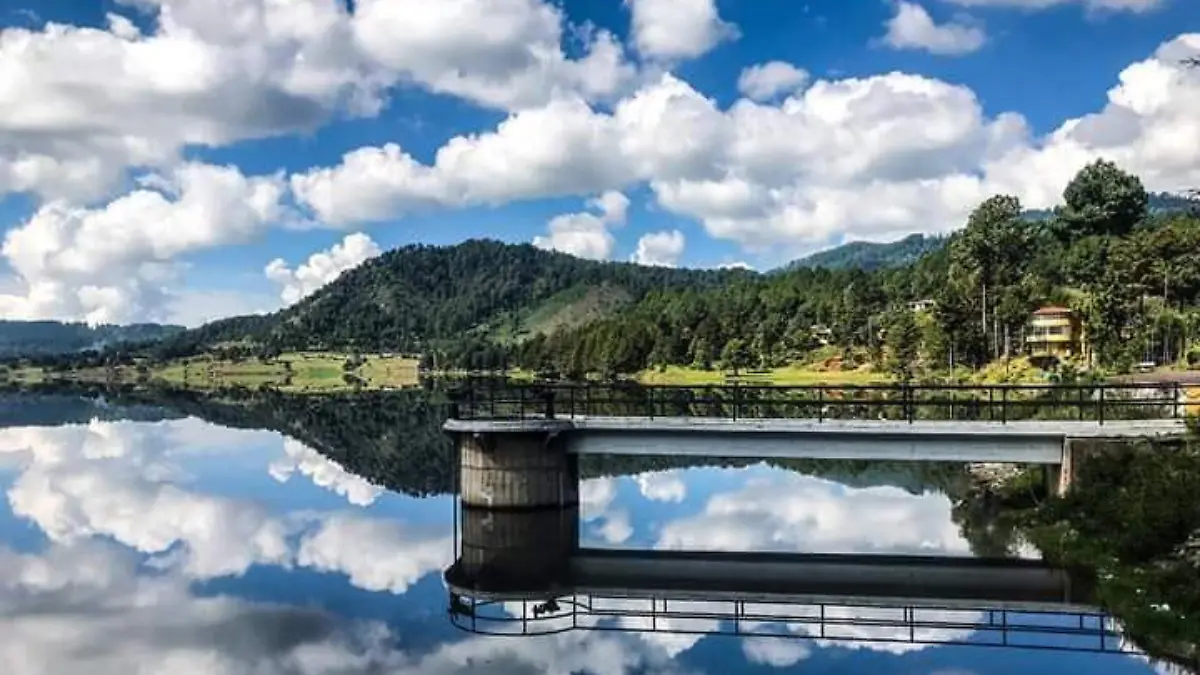 presa mata pinos hidalgo