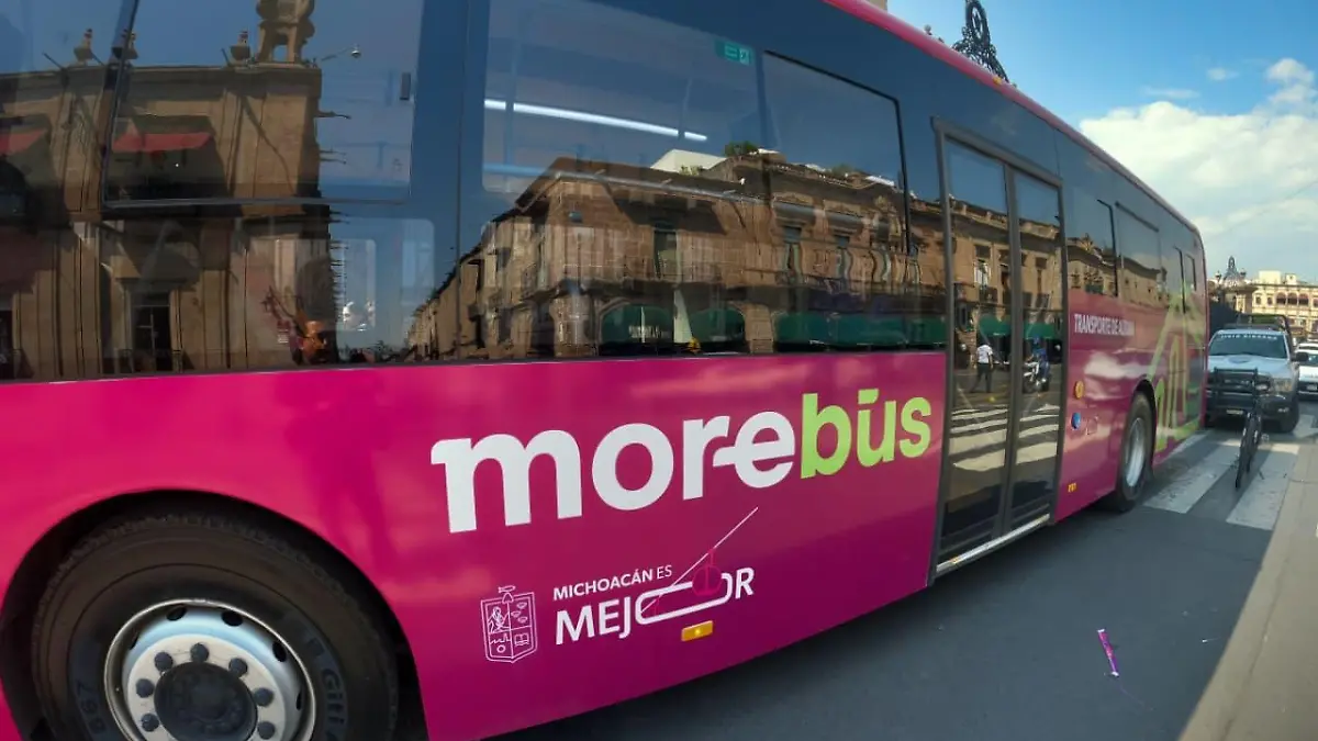 morebus morelia