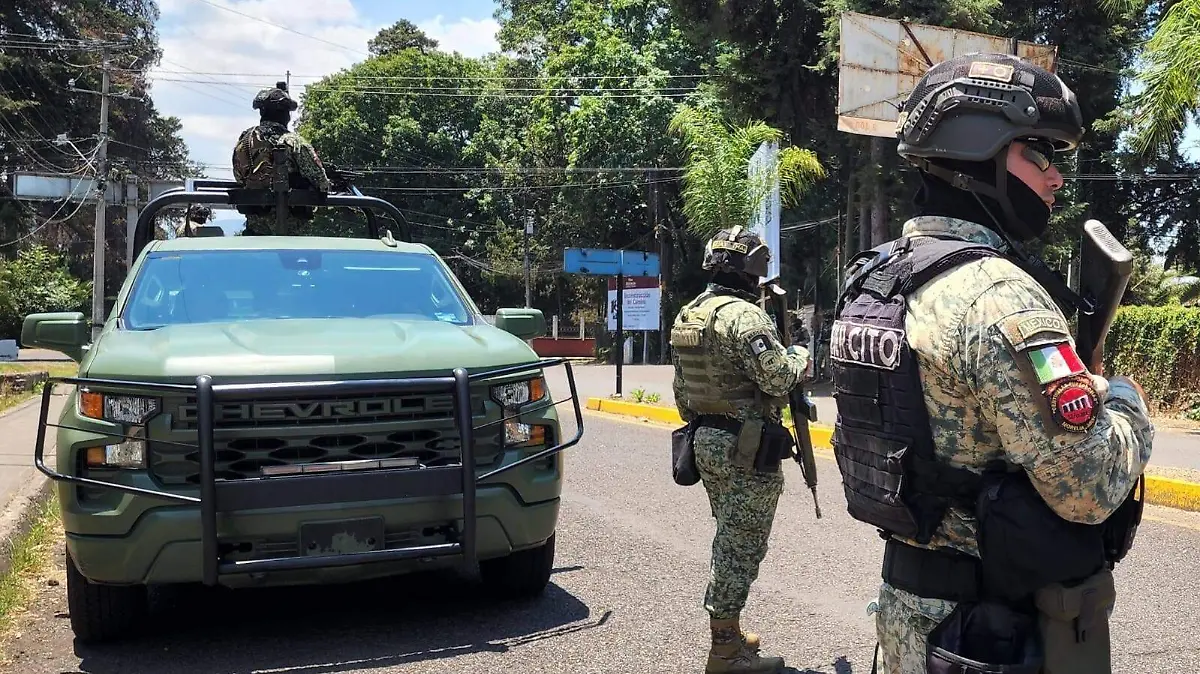 Ejército operativo