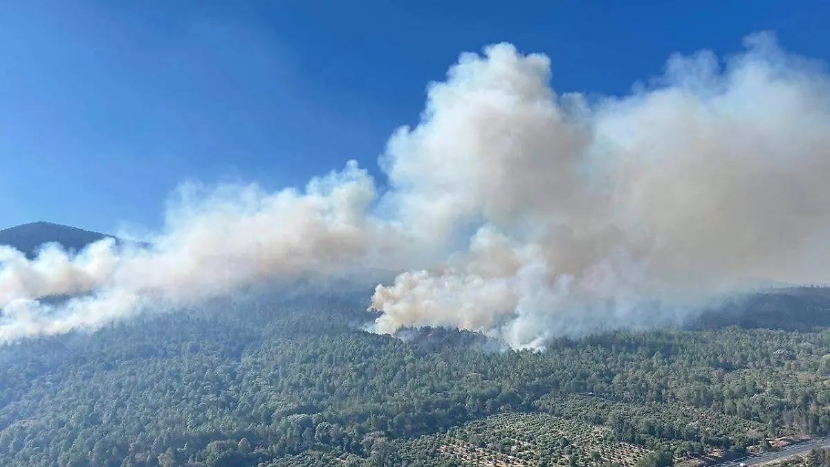 incendio forestal michoacan