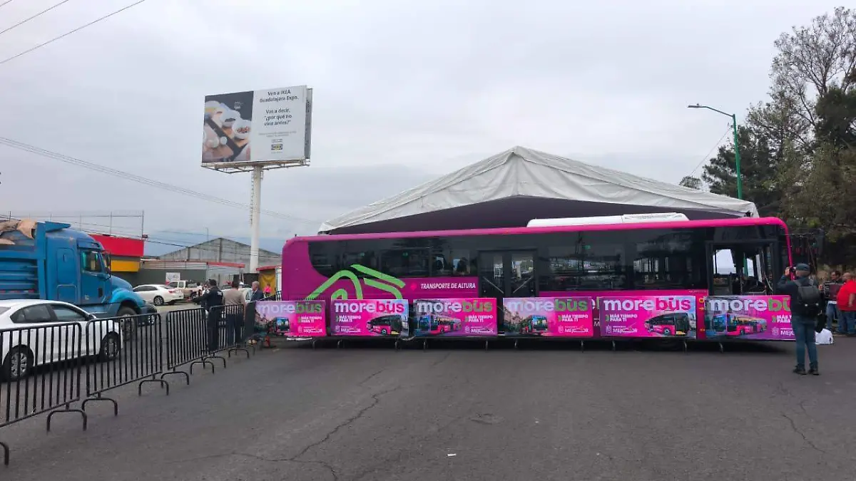 morebus morelia