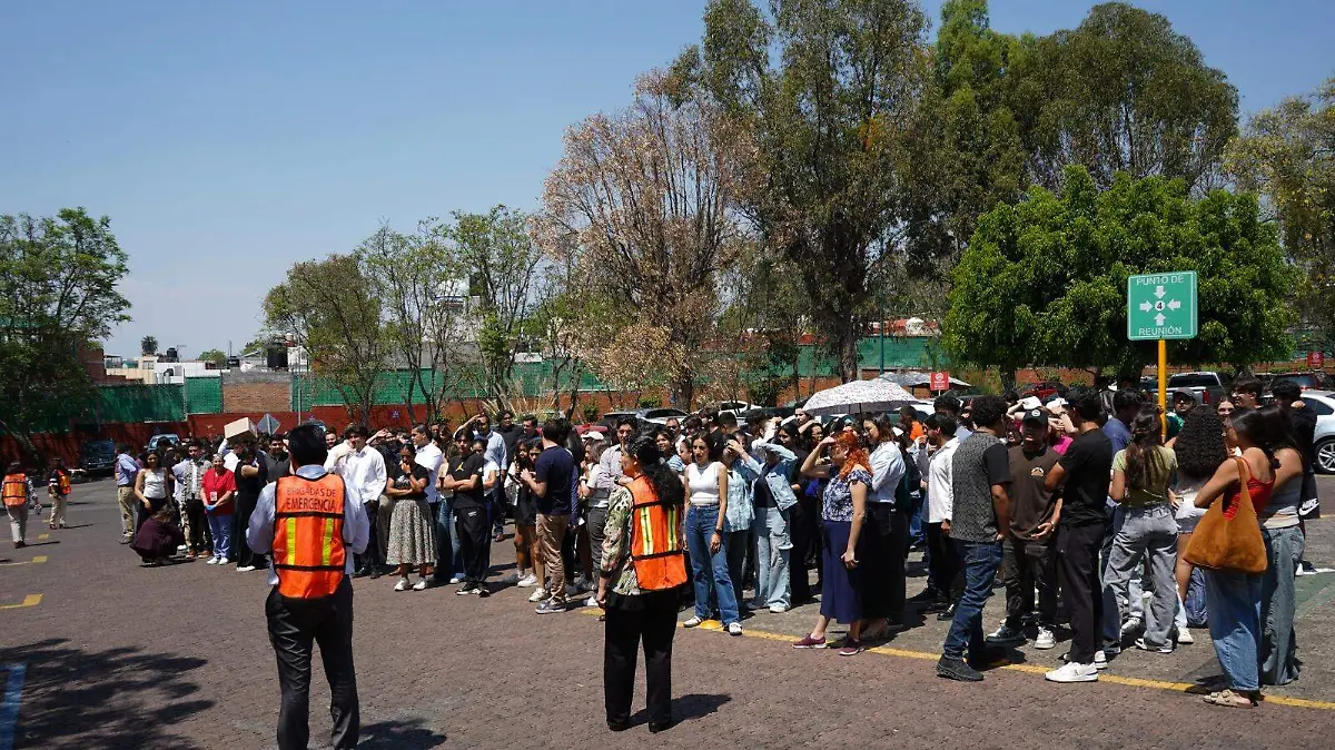 comunidad unla