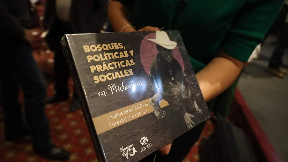 bosques politicas y practicas