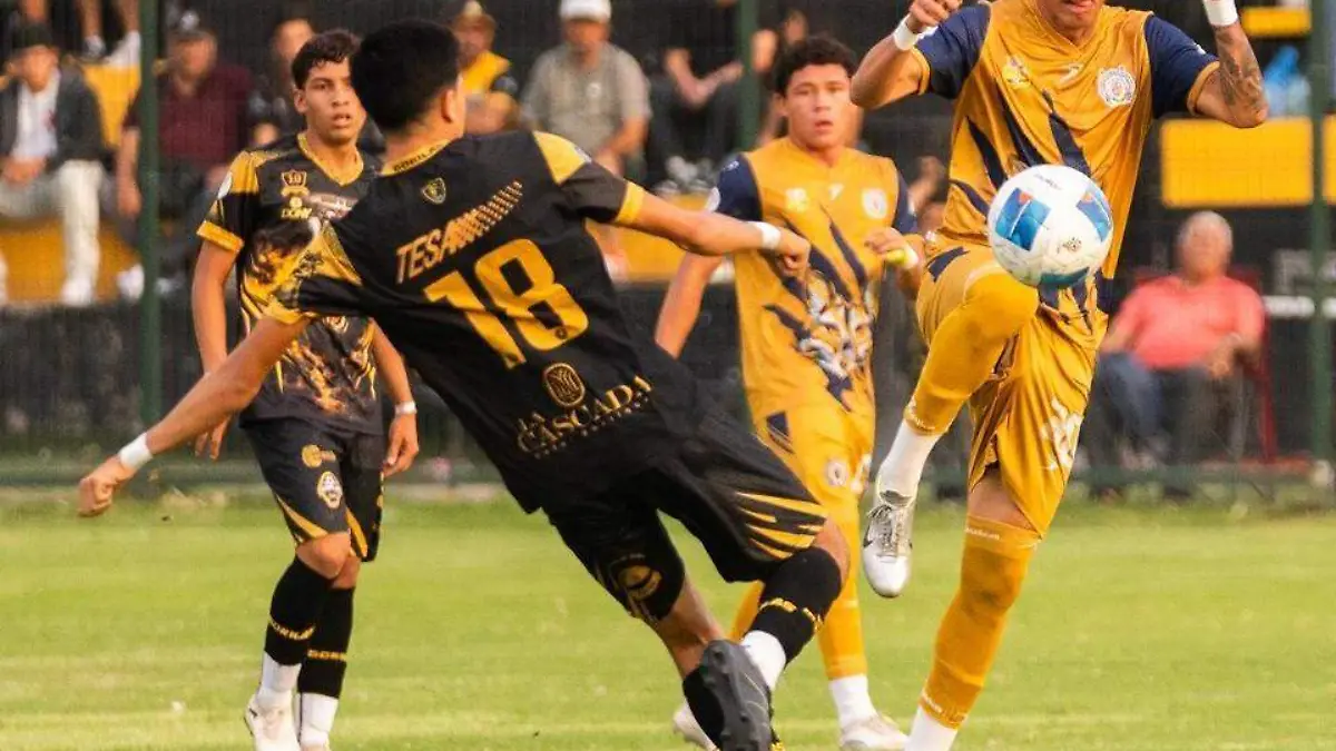 Atlético Morelia UMSNH
