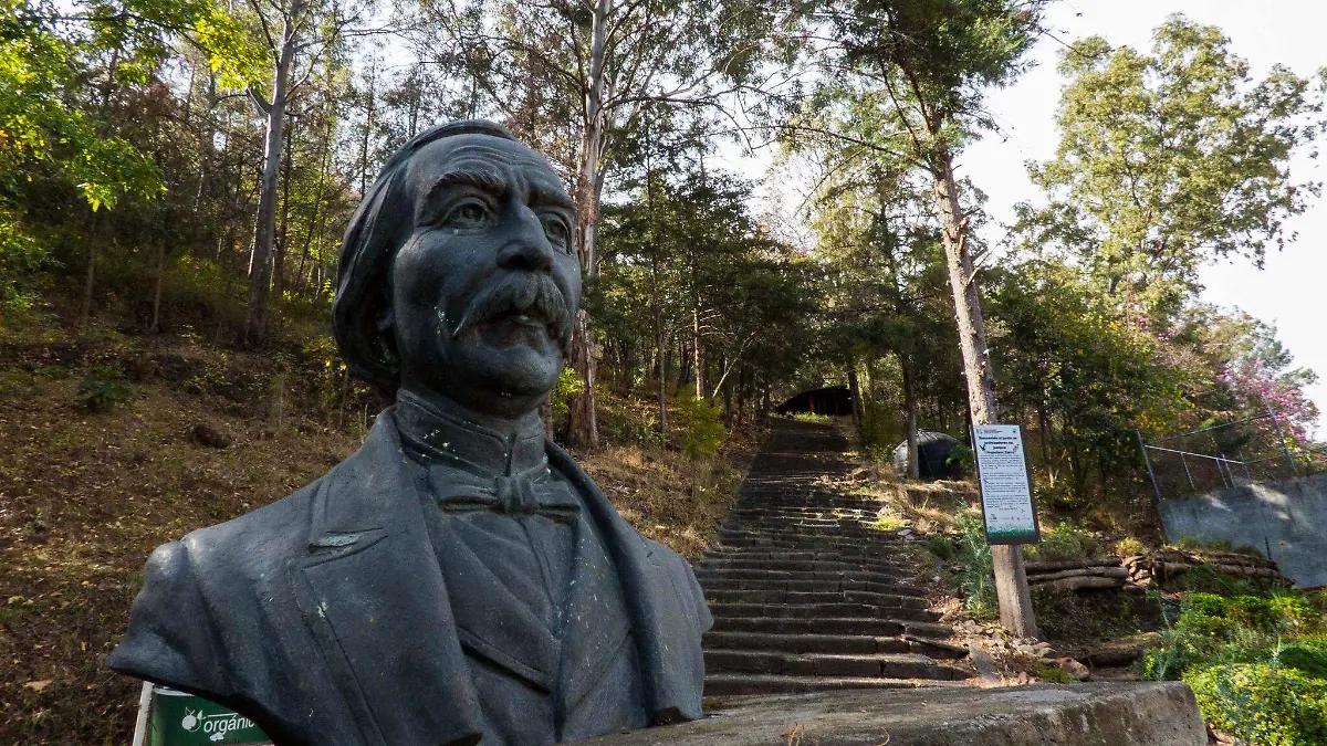 parque Francisco Zarco