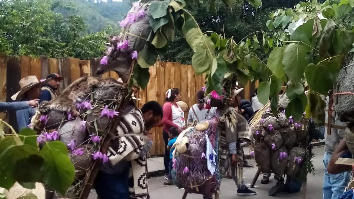 Flor de Corpús