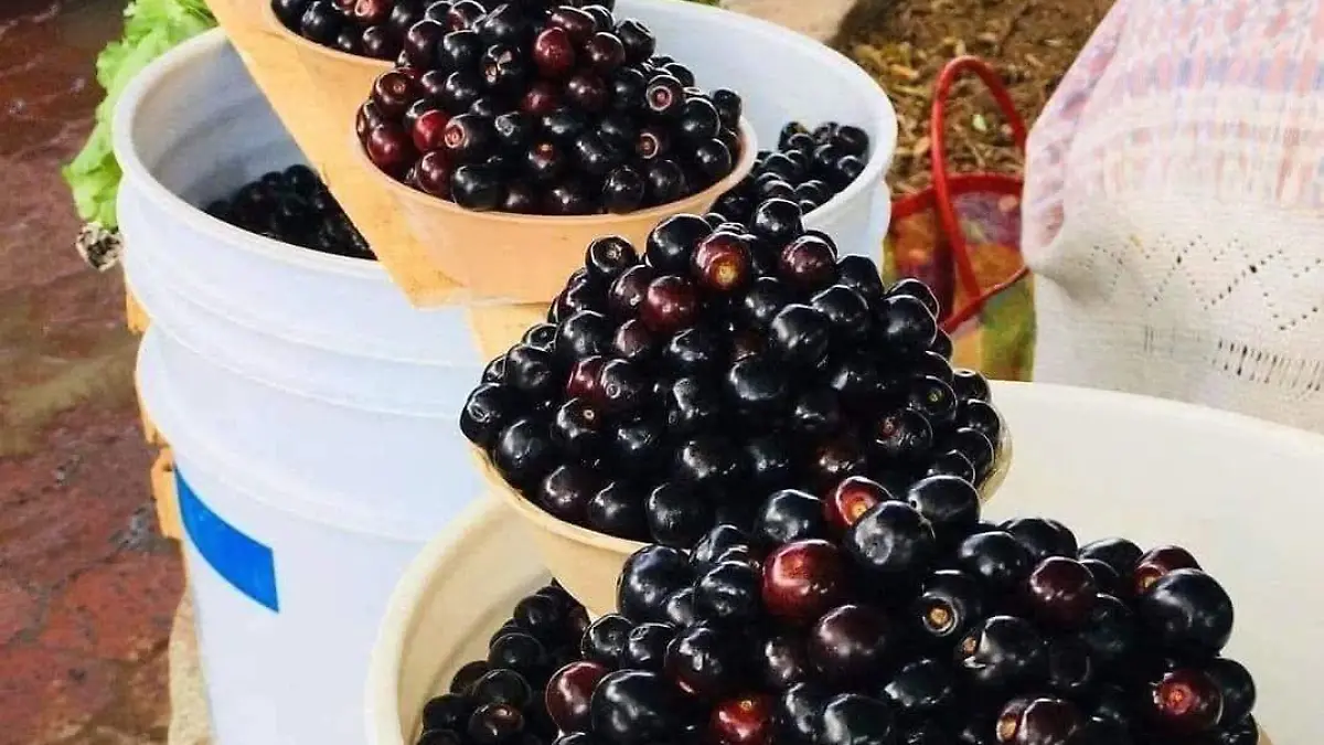 Capulines fruta