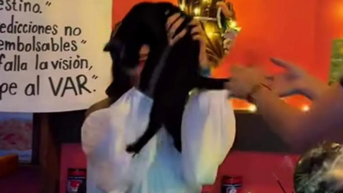Gato bar