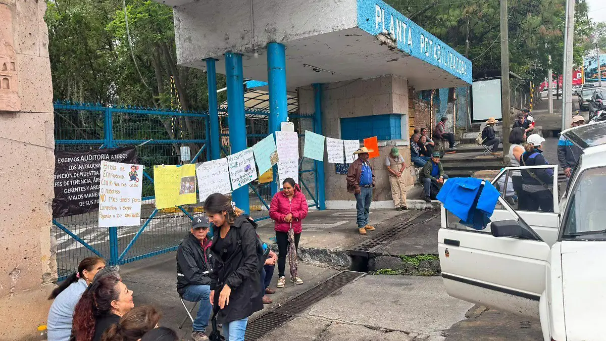 planta morelia manifestacion