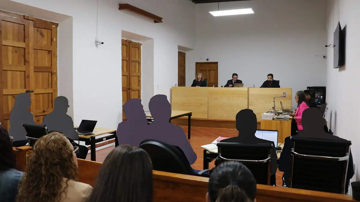 audiencia poder judicial