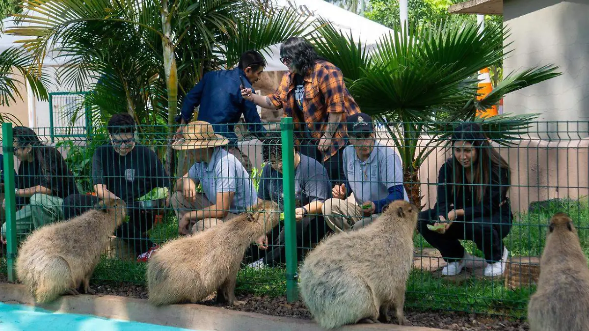 Zoológico de Morelia
