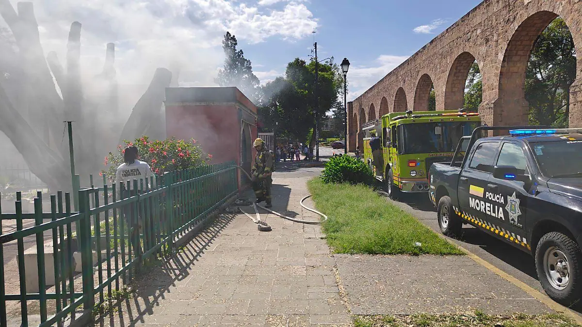 Incendio árbol