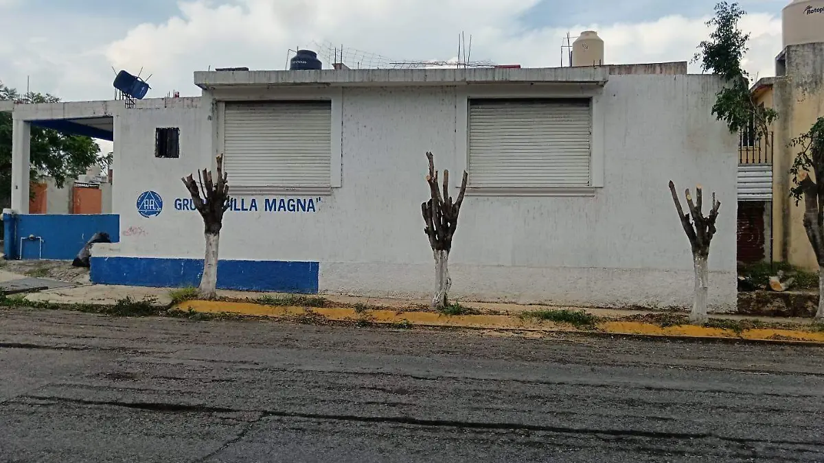 arboles cortados