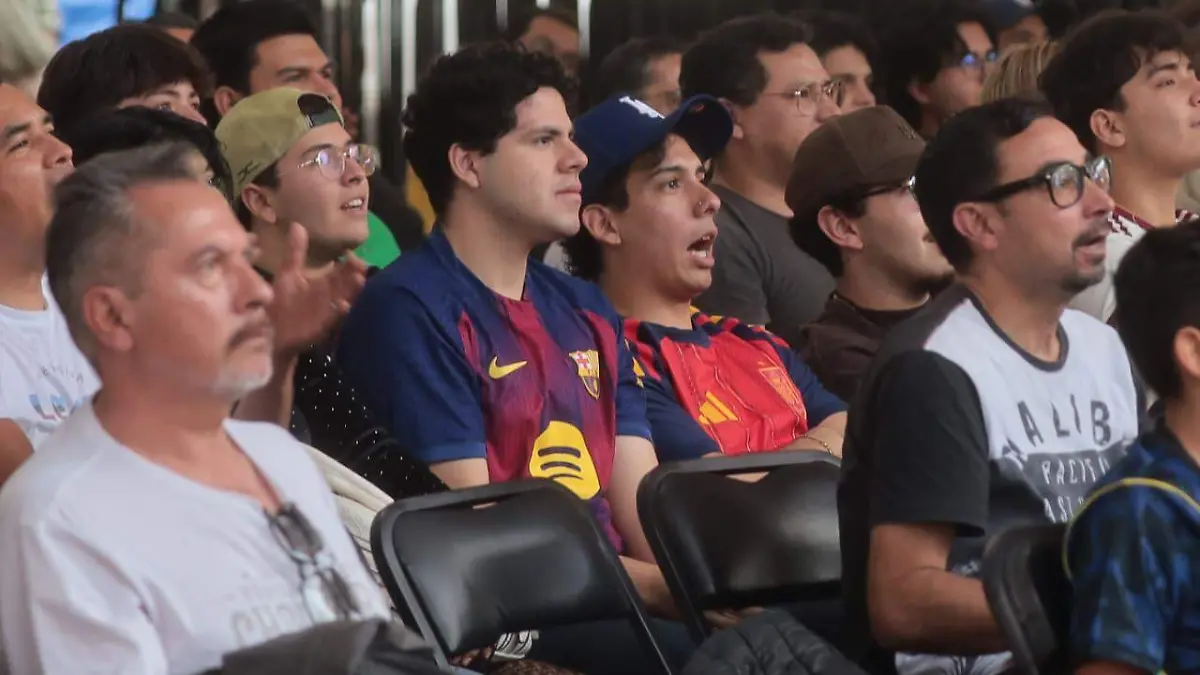 Partido España vs Francia 1