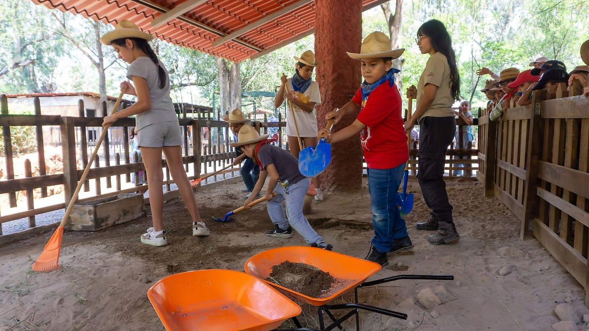 Vacaciones de verano: Horarios y costos del Zoológico, Parque 150 y Juegos del Bosque en Morelia