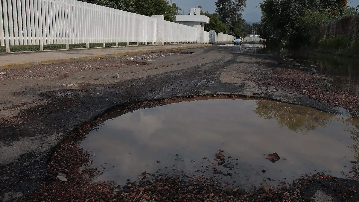 Baches