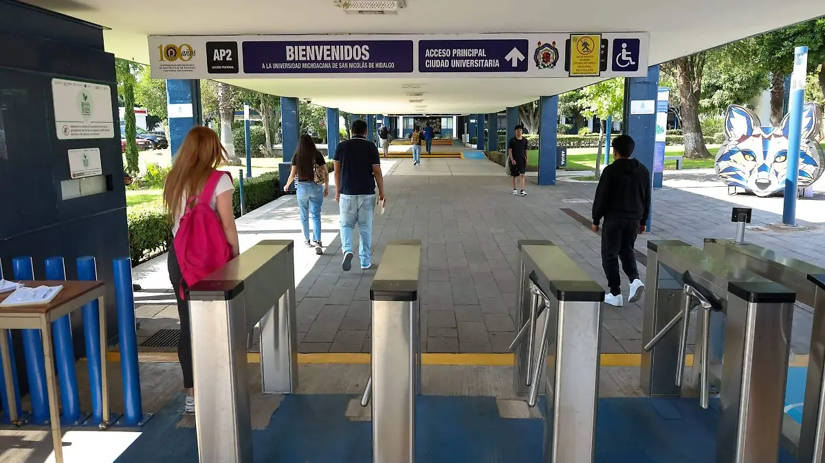 entrada umsnh