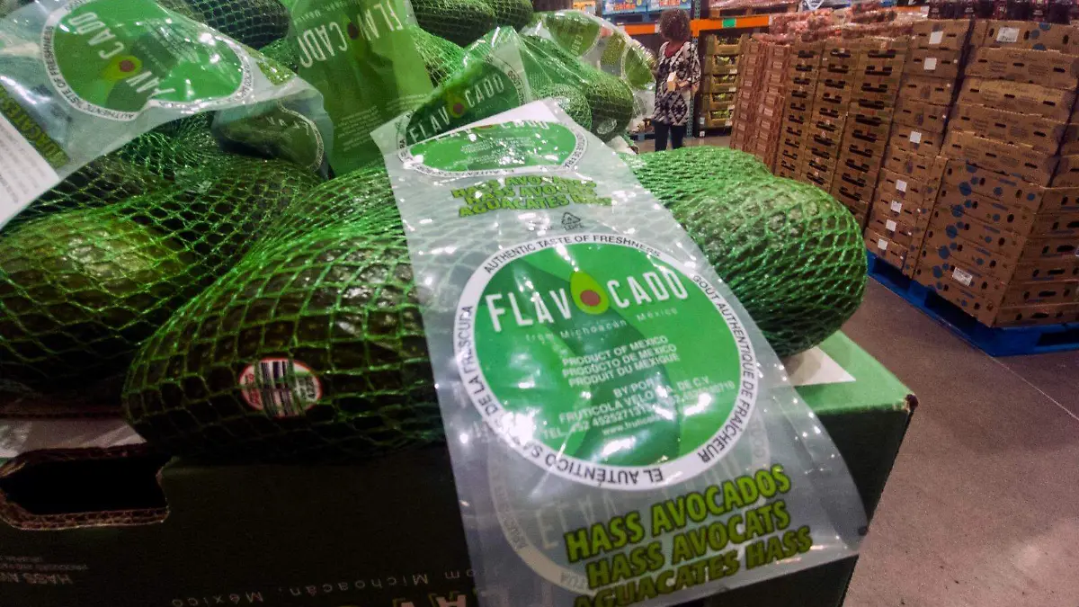 aguacate