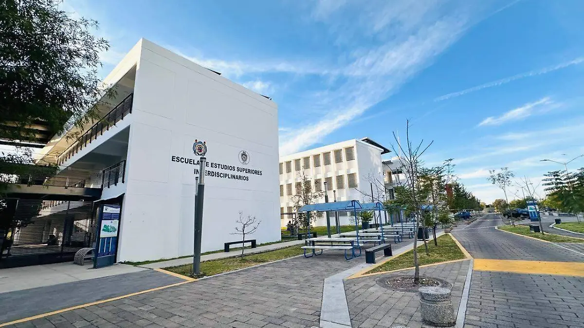 escuela estudios superiores umsnh