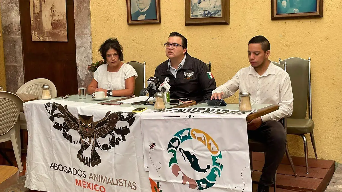Animalistas Michoacán