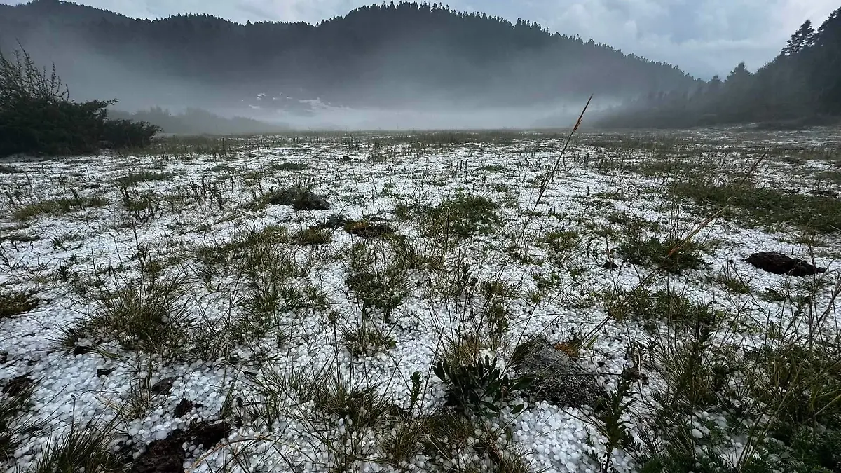 granizada santuario mariposa