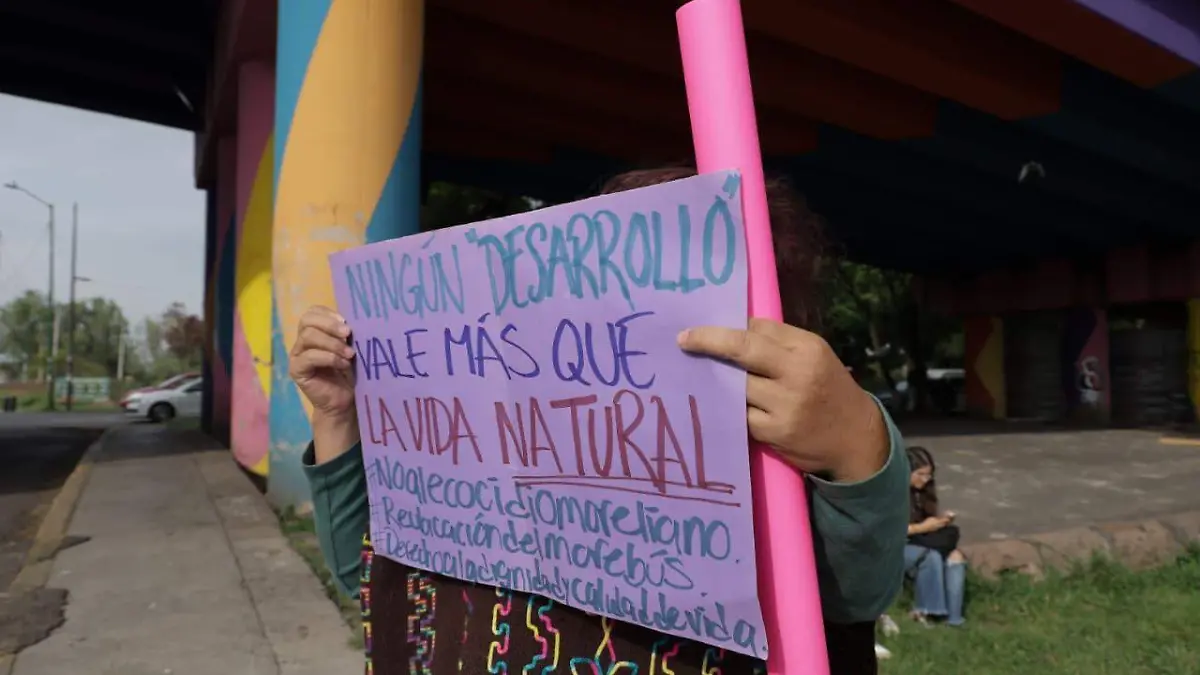 Derribo de árboles