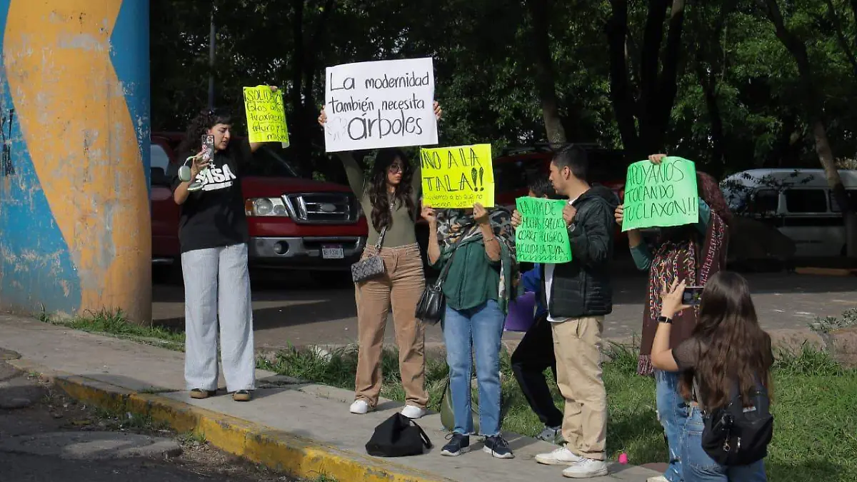 Manifestación tala de árboles