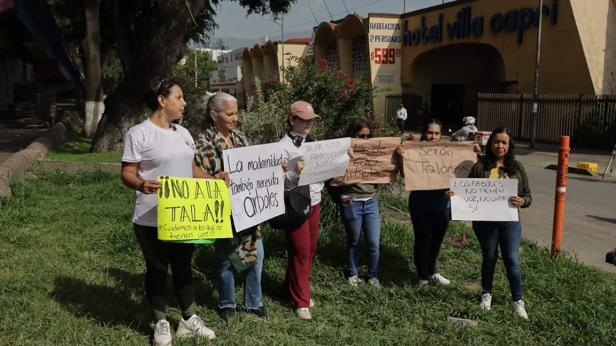 Manifestación árboles