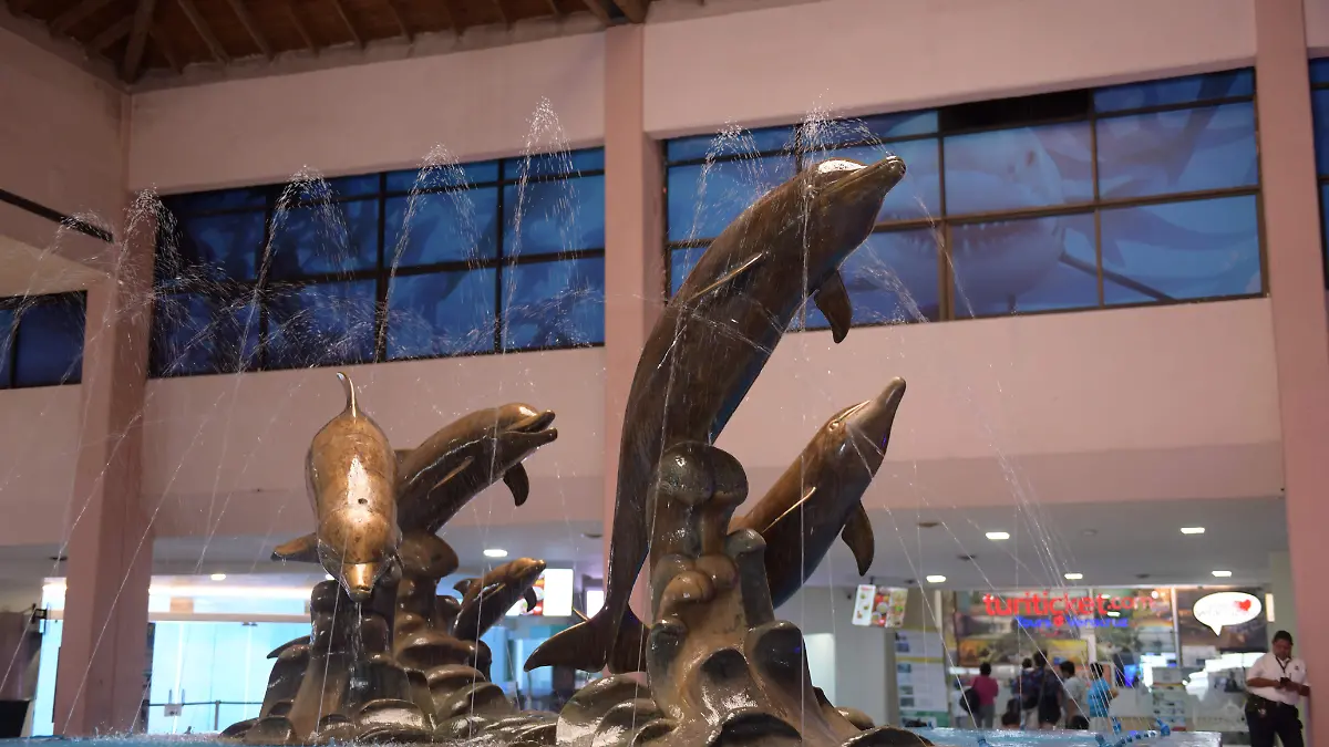 RENE-ACUARIO VERACRUZ (2)