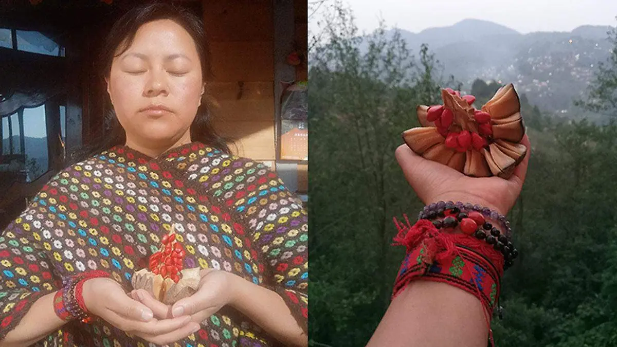 Guadalupe-Tzopitl-Montalvo---Foto-Facebook-kahletikhogar